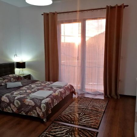 Pensiunea Timis Borşa Extérieur photo