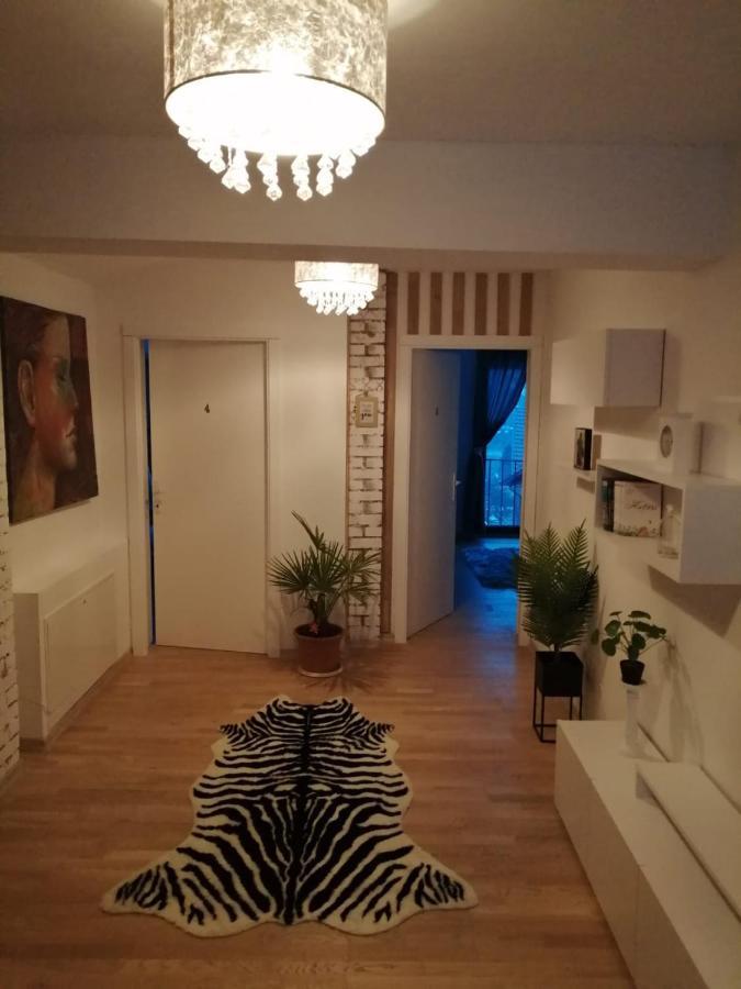 Pensiunea Timis Borşa Extérieur photo