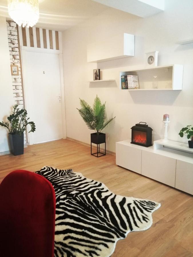 Pensiunea Timis Borşa Extérieur photo