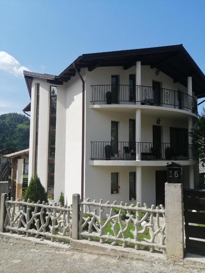 Pensiunea Timis Borşa Extérieur photo