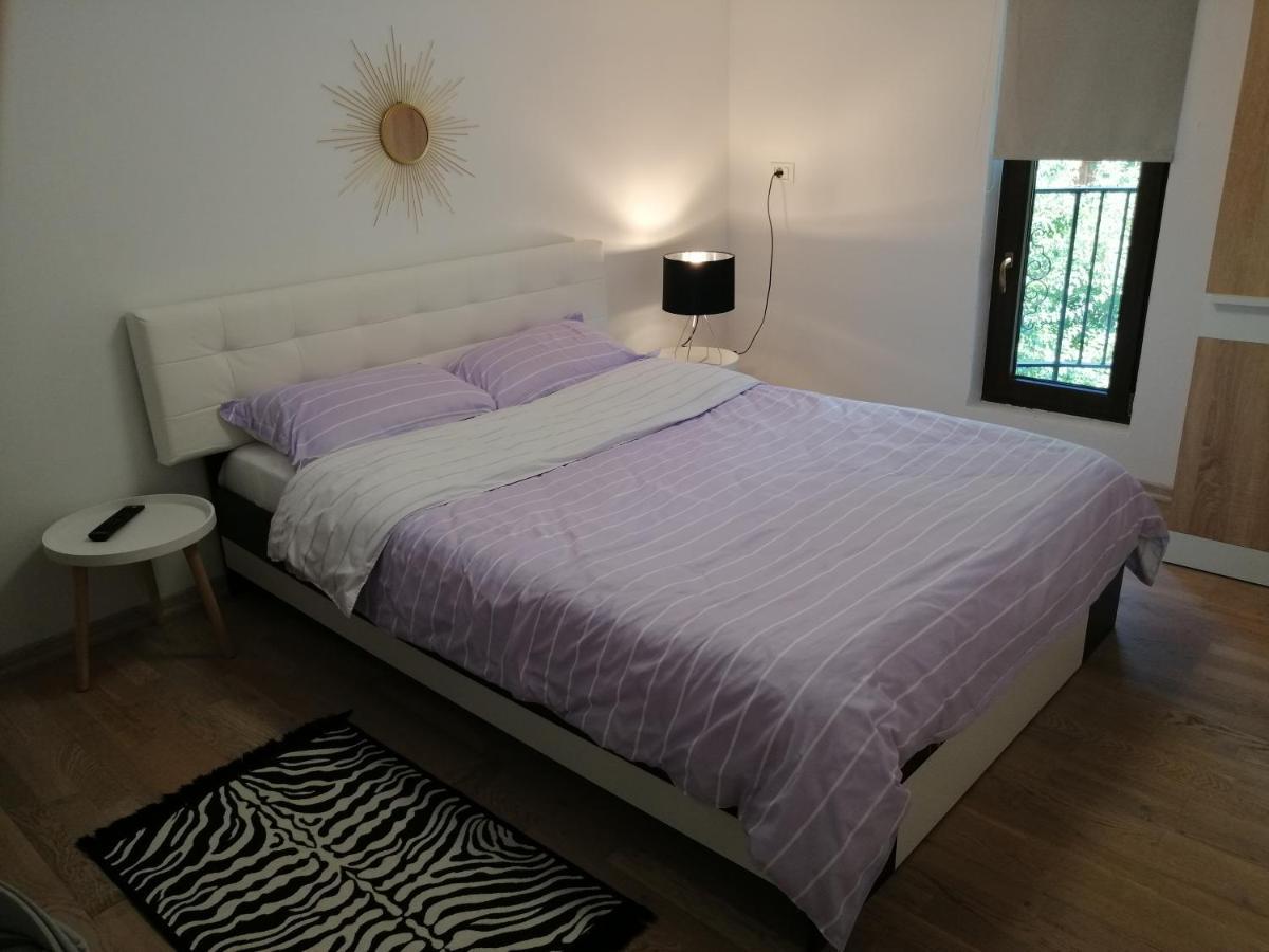 Pensiunea Timis Borşa Extérieur photo