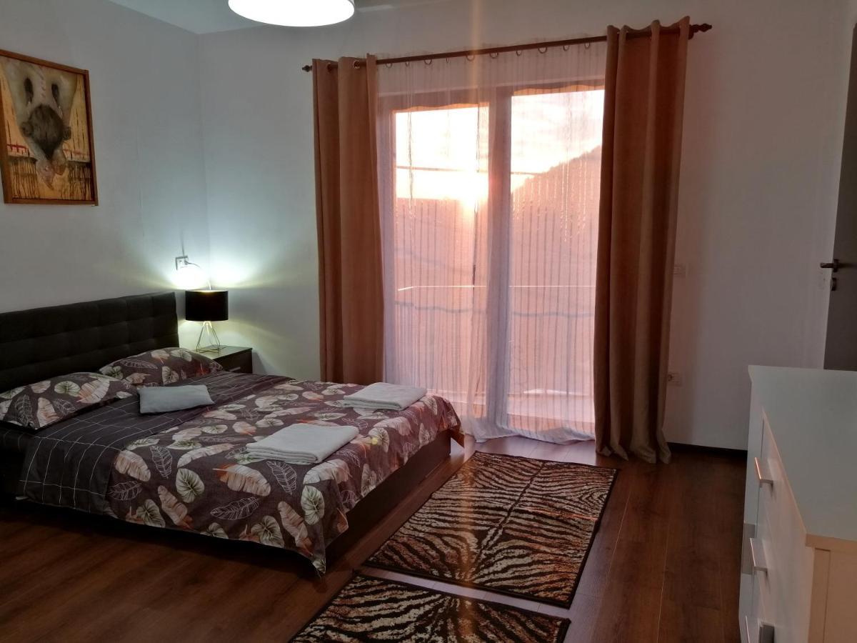 Pensiunea Timis Borşa Extérieur photo