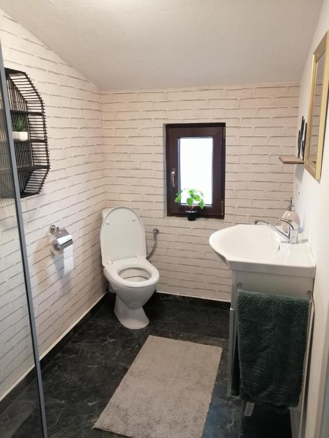 Pensiunea Timis Borşa Extérieur photo