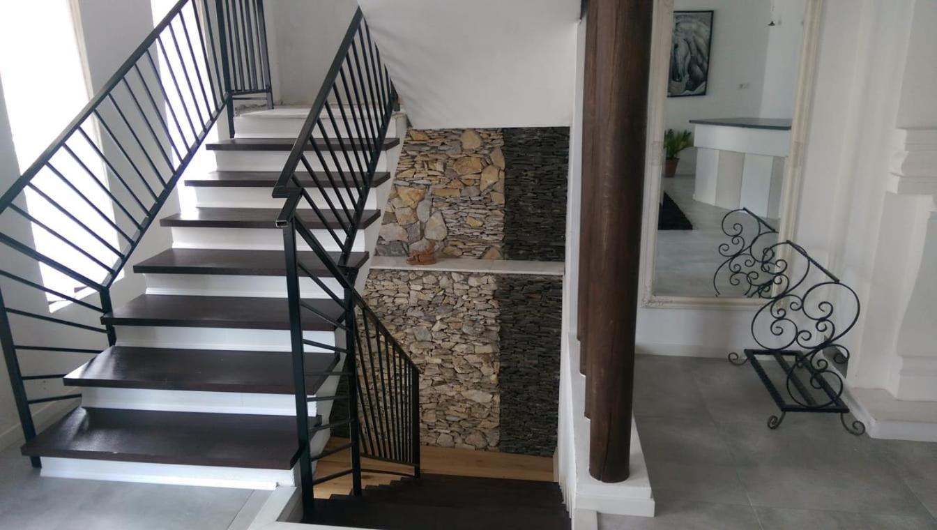 Pensiunea Timis Borşa Extérieur photo